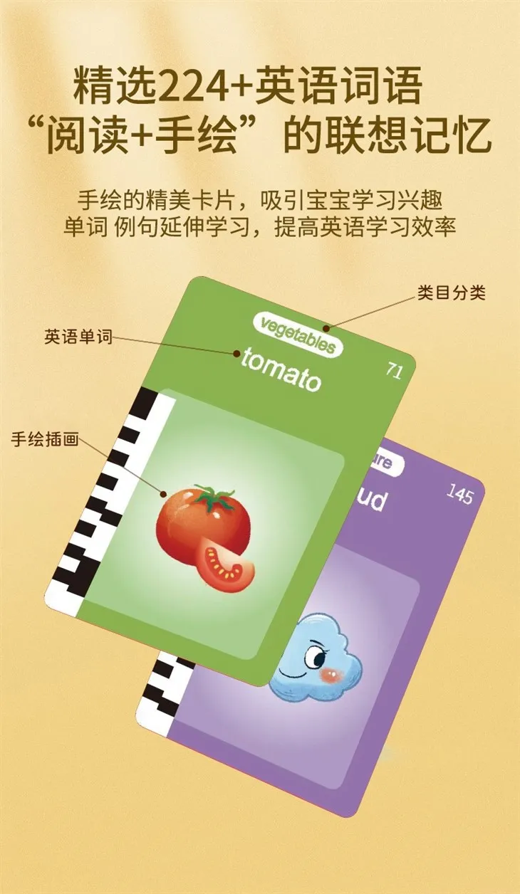 Electronic Flash Card Learning Resources Minute Math Electronic Flash Card