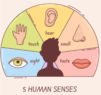 Unlocking Potential: How Educational Toys Power Child DevelopmentUnlocking Potential: How Educational Toys Power Child Development